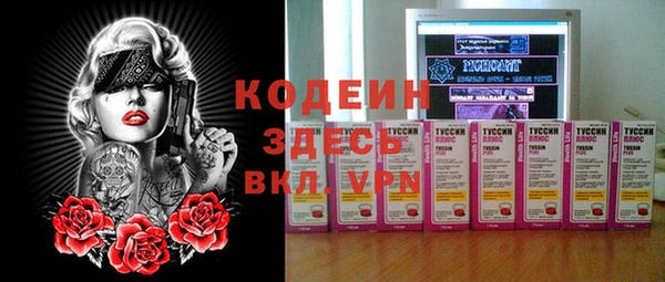 СК Осинники